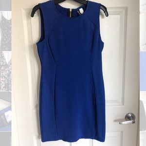 Fitted blue dress